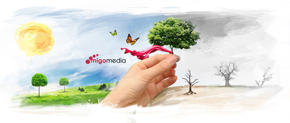 Migomedia